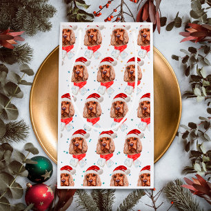 Engelska Cocker Spain Hund aveln jul