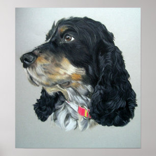 Engelska Cocker Spain Hund Poster Print