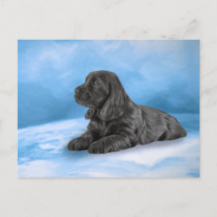 Engelska Cocker Spaniel puppy Inbjudan Vykort