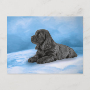 Engelska Cocker Spaniel puppy Vykort