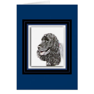 Engelska Cocker Spanska Hälsningskort