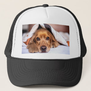 Engelska Cocker Spanska Hund Keps