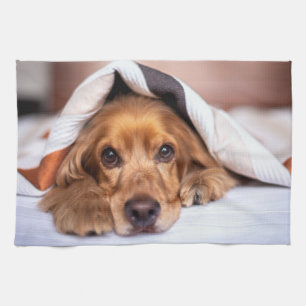 Engelska Cocker Spanska Hund Kökshandduk