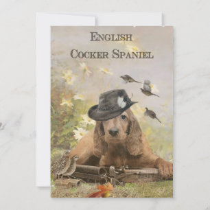 Engelska Cocker Spanska Tack Kort