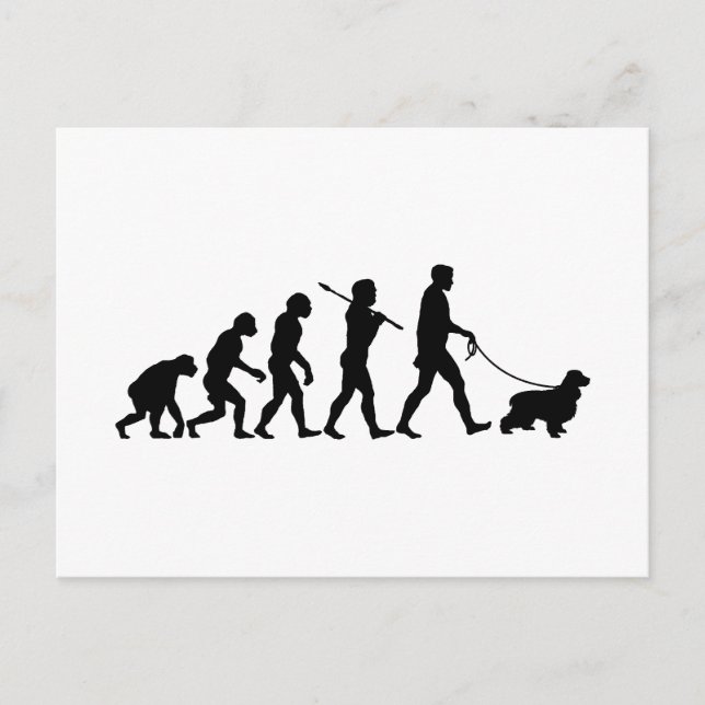 Engelska Cocker Spanska Vykort (Framsida)