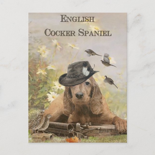 Engelska Cocker Spanska Vykort (Framsida)