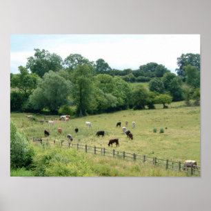 Engelska Farmland Poster