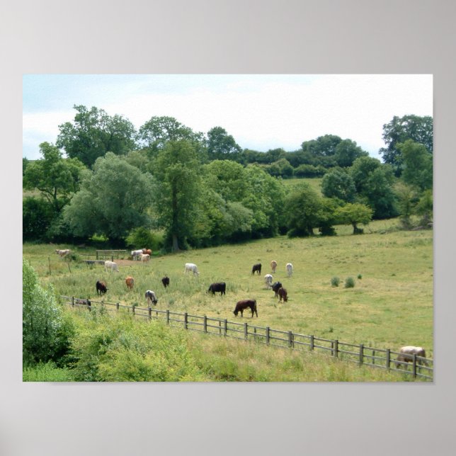 Engelska Farmland Poster (Framsidan)
