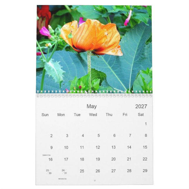 Engelska Garden Blommigts 2024 Calendar Kalender (May 2027)