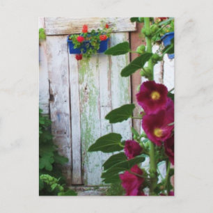 Engelska Garden Hollyhocks och Flowers Vykort