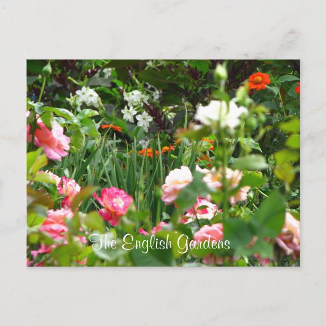 Engelska Gardens vykort (Framsida)