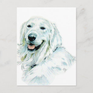 Engelska Golden Retriever-postkort Vykort