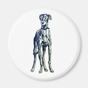 Engelska Greyhound Breed Magnet