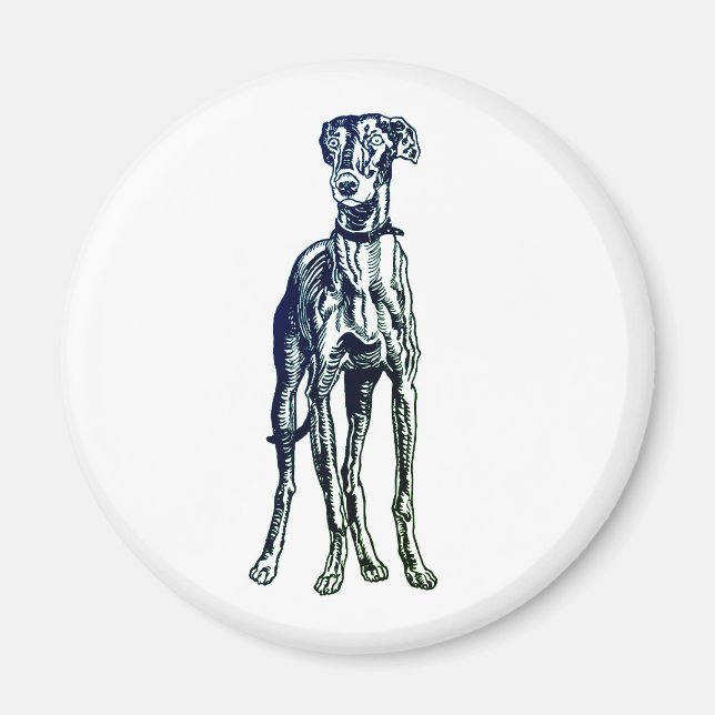 Engelska Greyhound Breed Magnet (Framsidan)