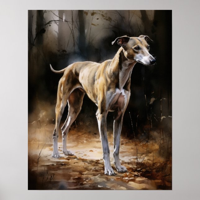 Engelska Greyhound Hund Art Print Poster (Framsidan)