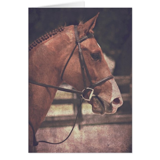 Engelska Horse Hälsningskort (Framsidan)