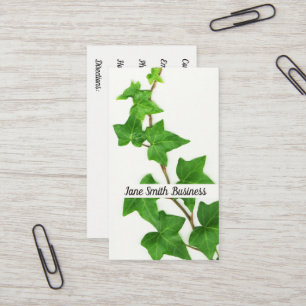 Engelska Ivy White Background Grönt Vine Visitkort