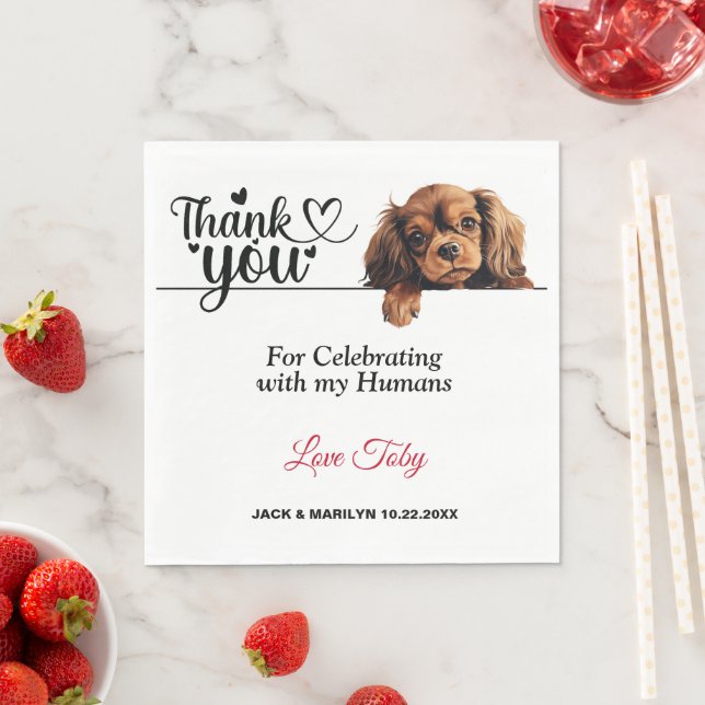 Engelska Leksak Spanska Pappra blöjor Pappersservett (Insitu)