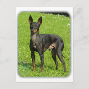 Engelska Leksak Terrier 9R78D-77 Vykort