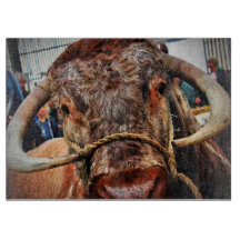 Engelska Long Horn Cow Cattle Poster