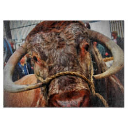 Engelska Long Horn Cow Cattle Poster