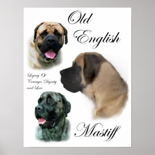 Engelska Mastiff Art-utskrifter Poster