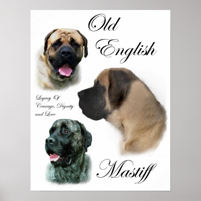 Engelska Mastiff Art-utskrifter Poster (Framsidan)