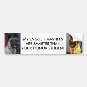 ENGELSKA MASTIFFS ÄR MER SMART BILDEKAL