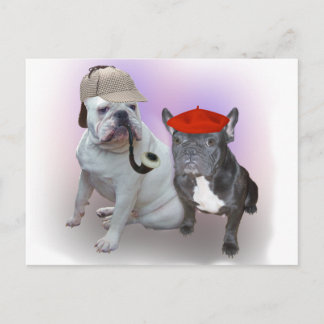 Engelska och Fransk bulldog Vykort