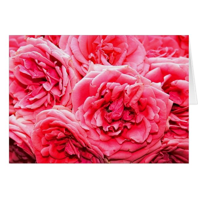 Engelska Ro Bouquet Hälsningskort (Framsidan Horizontal)
