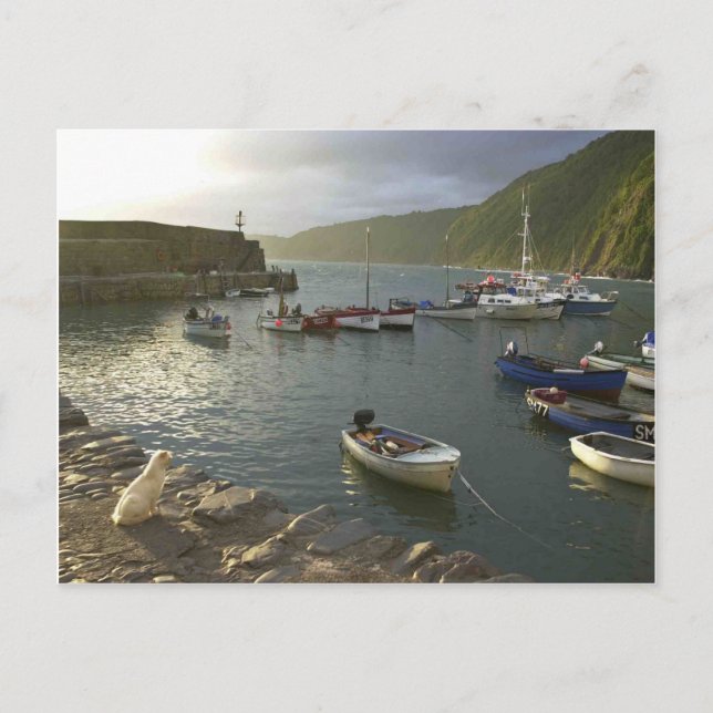 Engelska Scenes, Clovelly harbor Devon Vykort (Framsida)