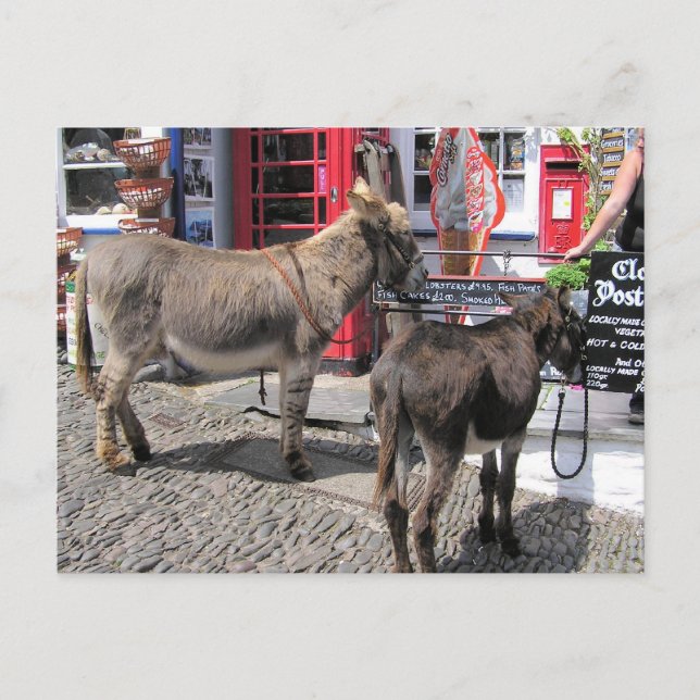 Engelska scenes, Donkey in Clovelly, North Devon Vykort (Framsida)