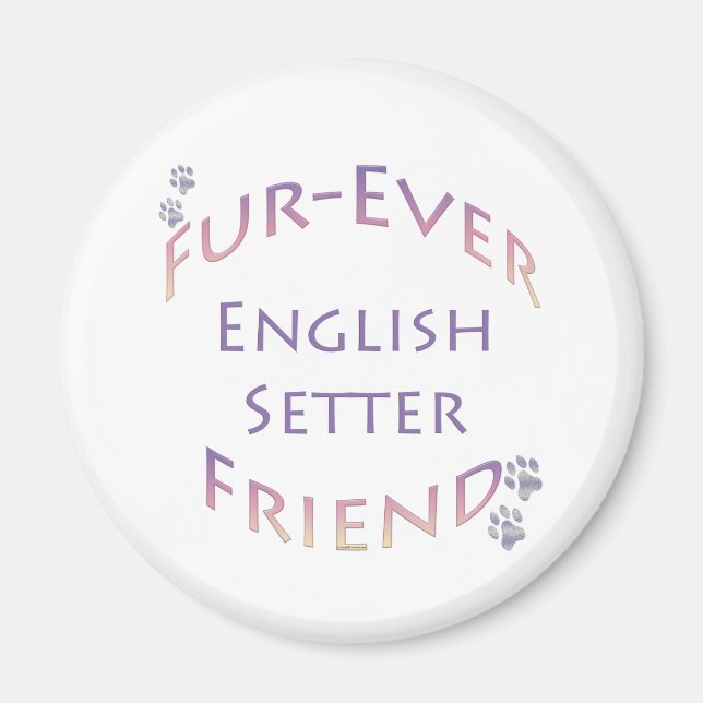 Engelska Setter Furever Magnet (Framsidan)