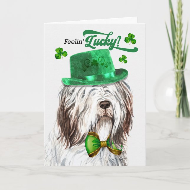 Engelska Sheepdog Feelin' Lucky St patrick's day Helgkort (Framsida)