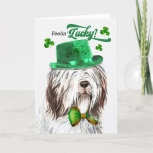 Engelska Sheepdog Feelin' Lucky St patrick's day Helgkort