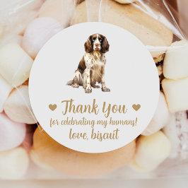 Engelska Spaniel Hund Bröllop Gåva Klistermärken