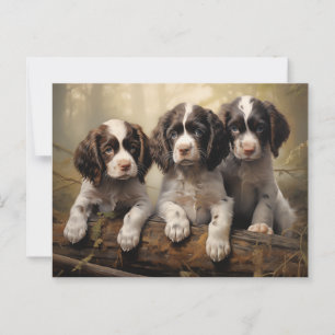 Engelska spaniel-valpar vykort