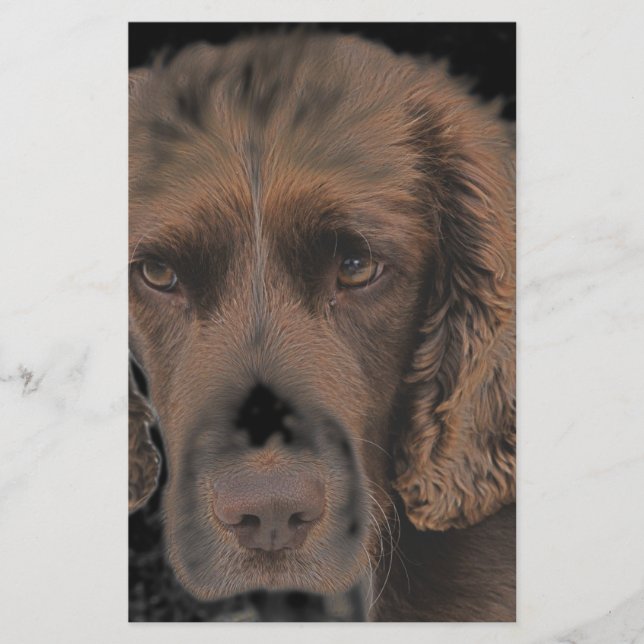 Engelska Springer Hundar Brevpapper (Framsida)