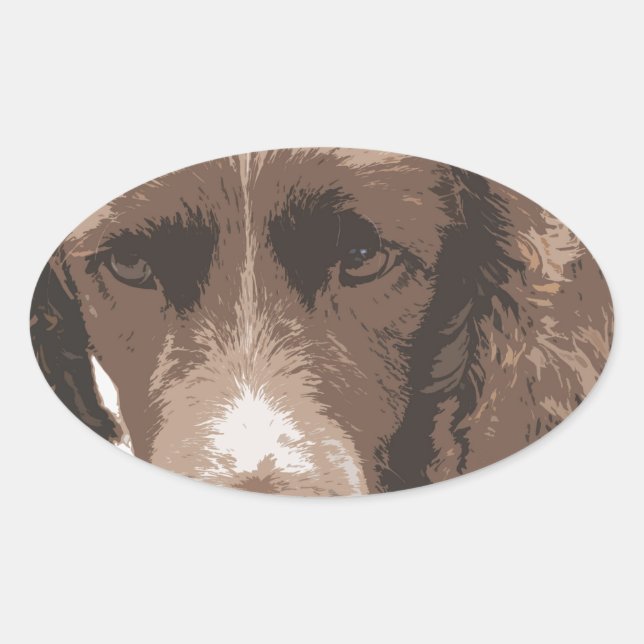 Engelska Springer Ovalt Klistermärke (Framsida)