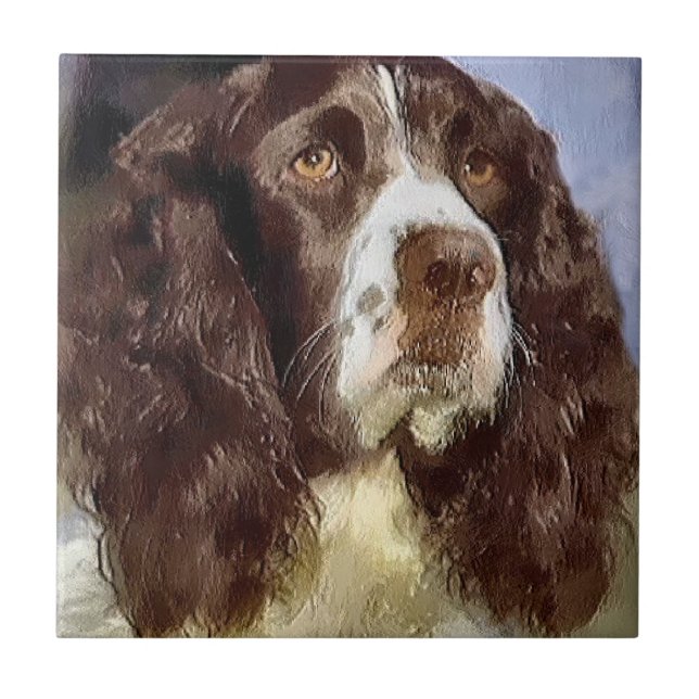 Engelska Springer Spain Art Kakelplatta (Framsidan)