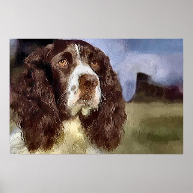 Engelska Springer Spain Art Prints Gifts Poster (Framsidan)
