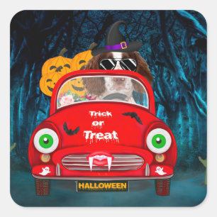 Engelska Springer Spain hund Car Scary Halloween Fyrkantigt Klistermärke