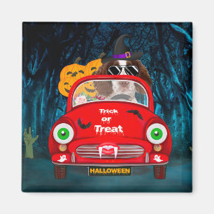 Engelska Springer Spain hund Car Scary Halloween Magnet