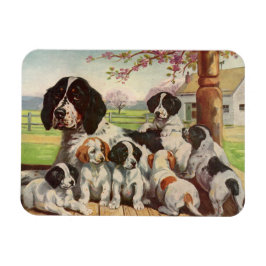 Engelska Springer Spain mamma och valpar Magnet