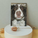 Engelska Springer spanel Hund Funny Birthday Kort<br><div class="desc">Detta populära födelsedagskort för alla som innehåller fotobilden av en lovvärd,  brun och vit engelsk Springer-spanjor-hund med en känslig näsa för födelsedagskalas. Markera kortet avsluta stil.</div>