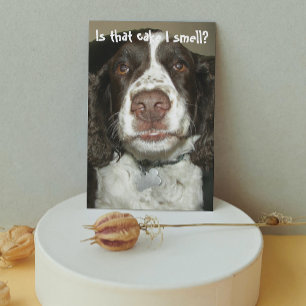 Engelska Springer spanel Hund Funny Birthday Kort