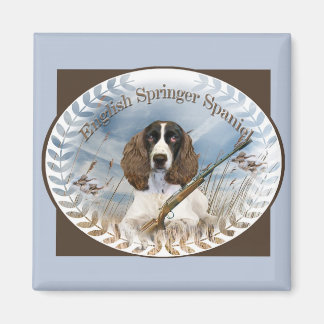 Engelska Springer spanel Hunts Magnet