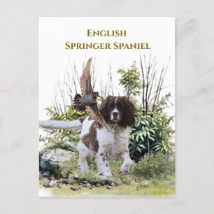 Engelska Springer spanel Inbjudan Vykort