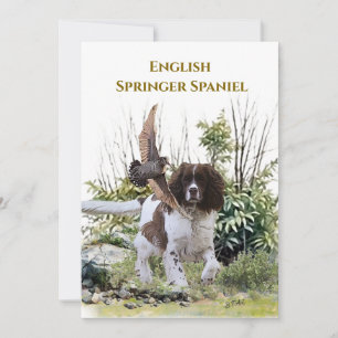 Engelska Springer spanel Inbjudningar