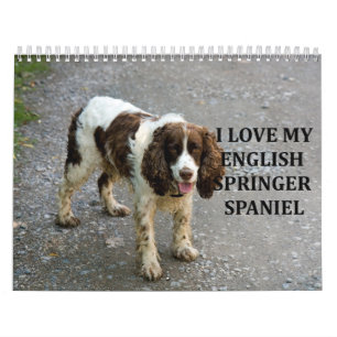 Engelska Springer spanel Kalender